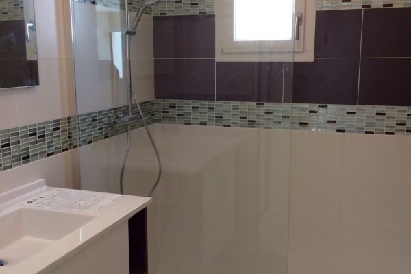 Salle de bain ( paroi et colonne de douche), Vitré (35)